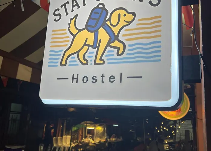 Ostello Strays *